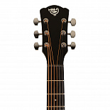 Акустическая гитара ROCKDALE Aurora D5 Satin C BK – фото 8