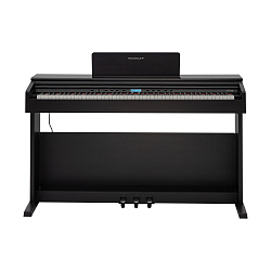ROCKDALE ETUDE 256 BR