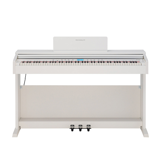 ROCKDALE ETUDE 256 W | Музыкальные инструменты ROCKDALE