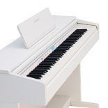 ROCKDALE ETUDE 256 W – фото 9