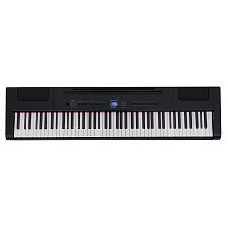 Цифровое пианино ROCKDALE Elegy (RDP-4088) Black