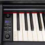 Цифровое пианино ROCKDALE Etude 128 Graded Black – фото 10